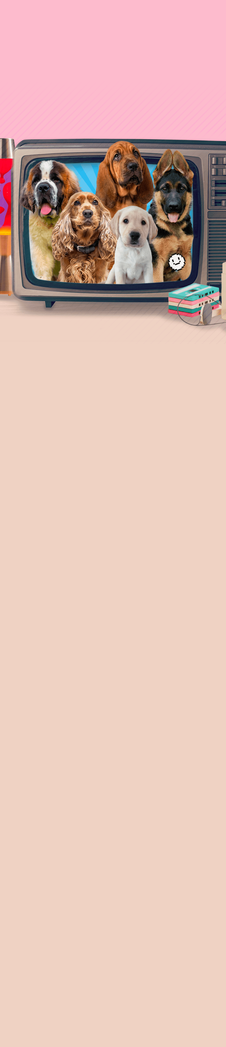 Background formulaire