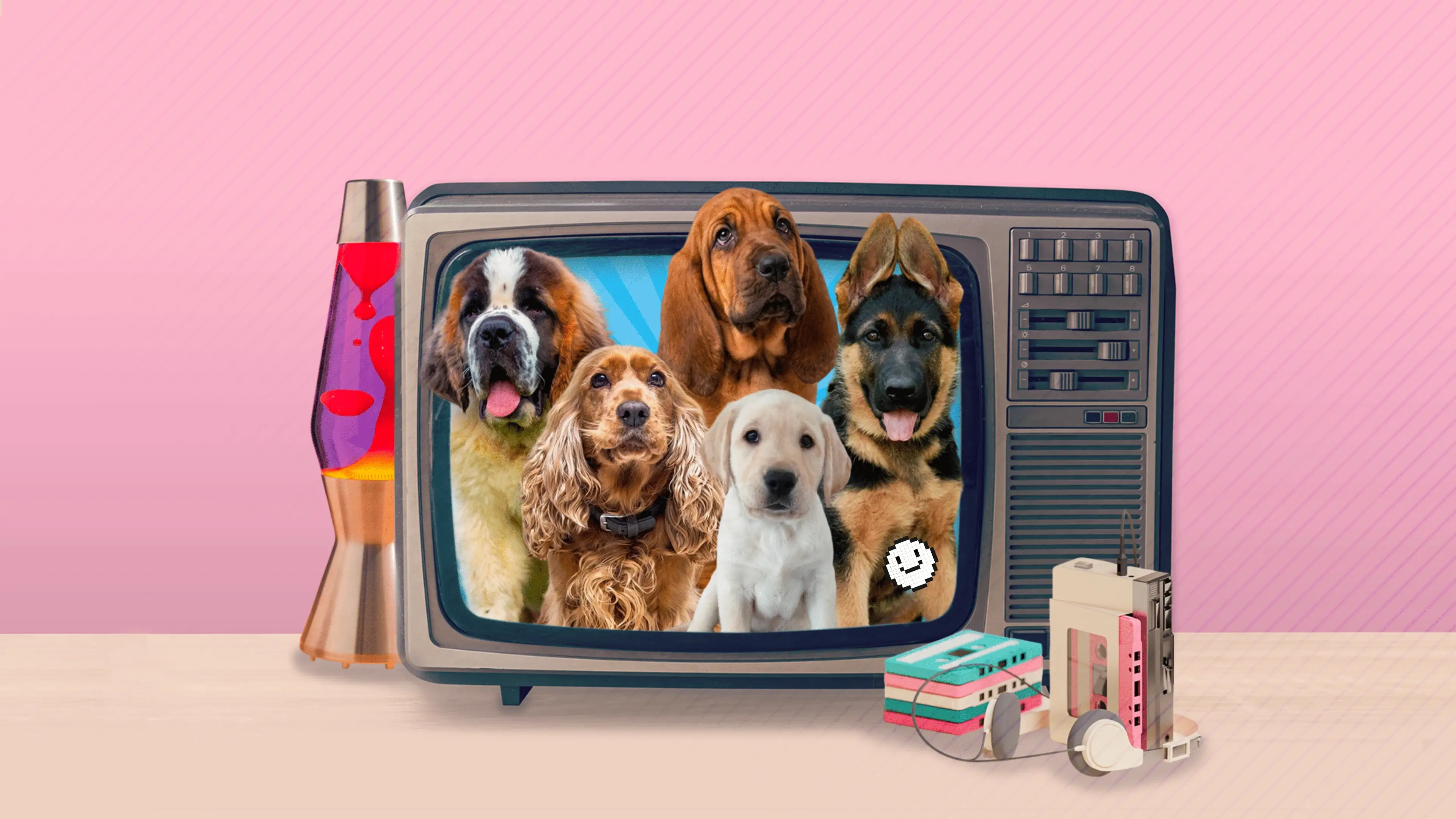 Background formulaire