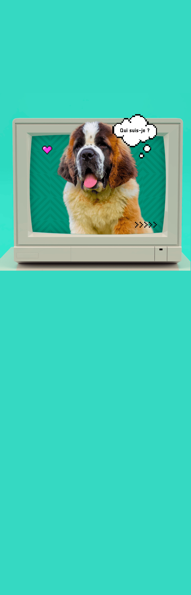 Saint-Bernard similaire à Beethoven avec une bulle de BD qui dit qui suis-je