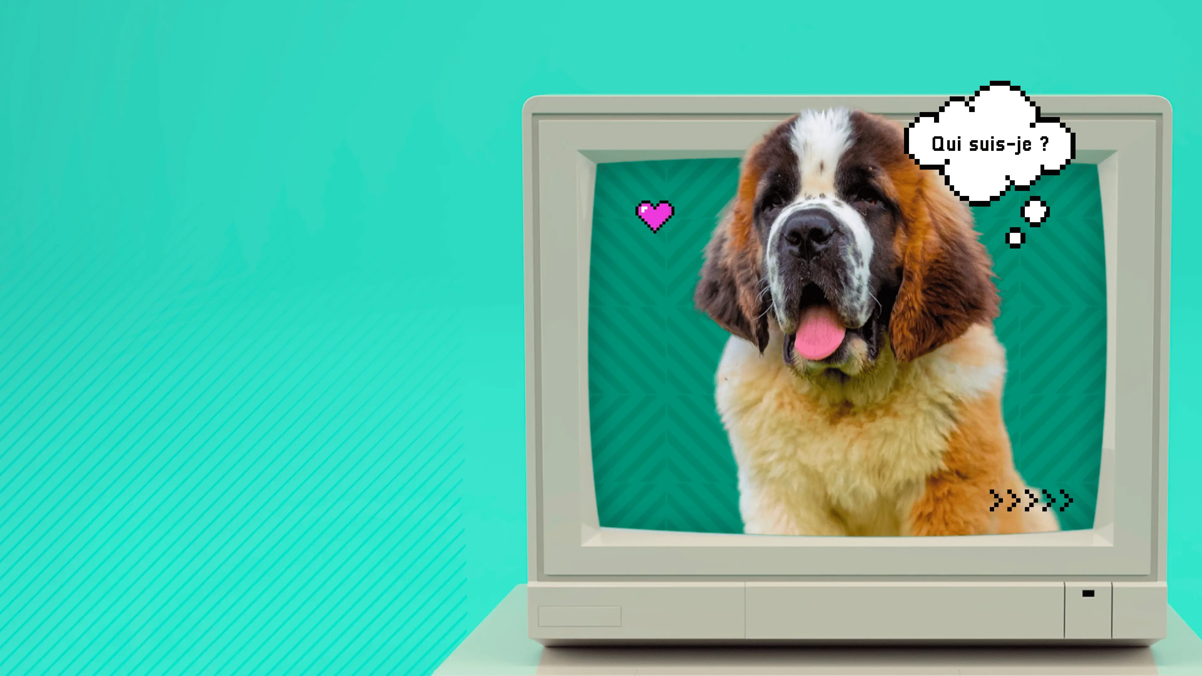 Saint-Bernard similaire à Beethoven avec une bulle de BD qui dit qui suis-je