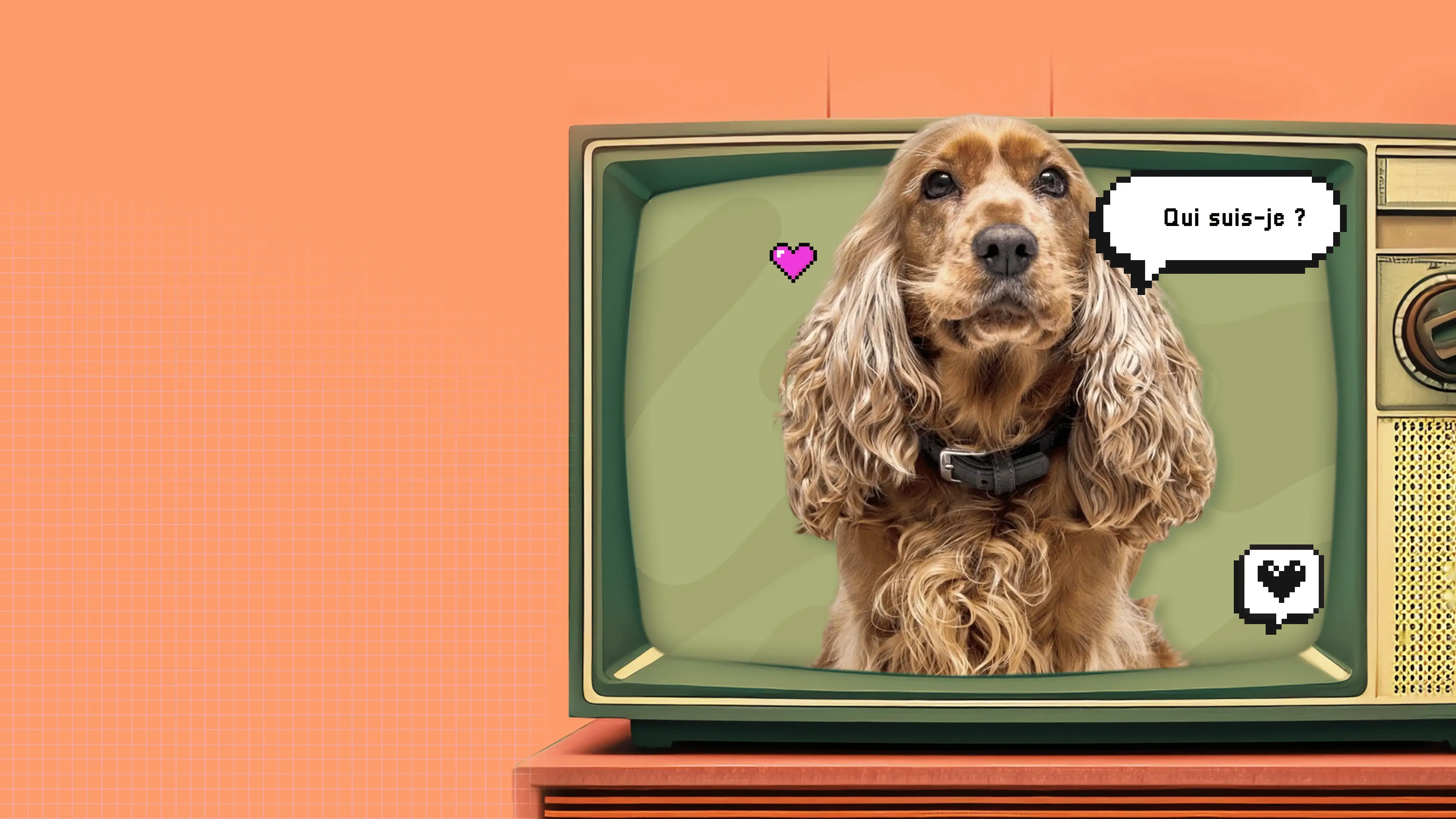 image d'un cocker comme Lady dans la belle et le clochard