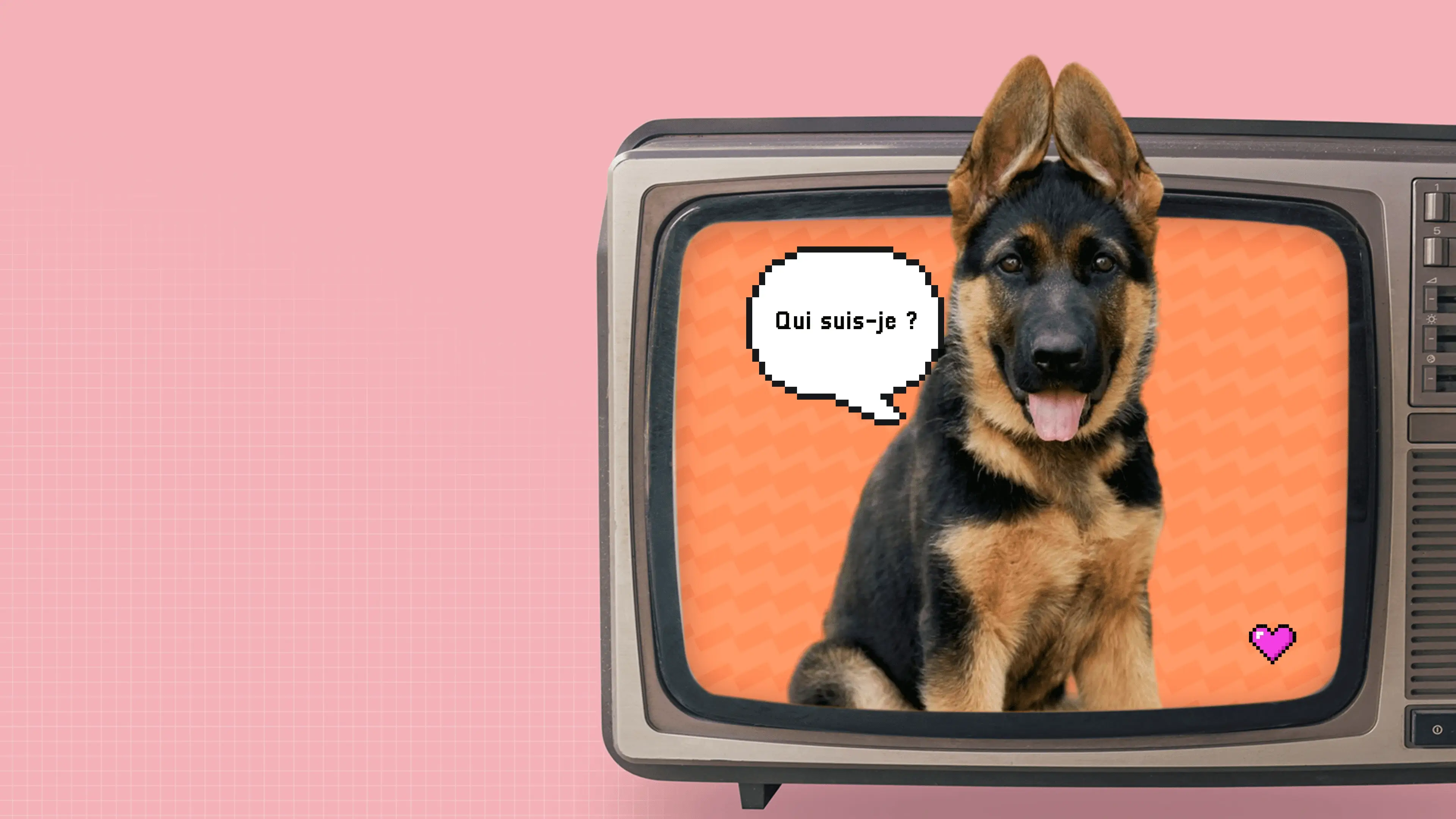 image de Rex, le chien policier